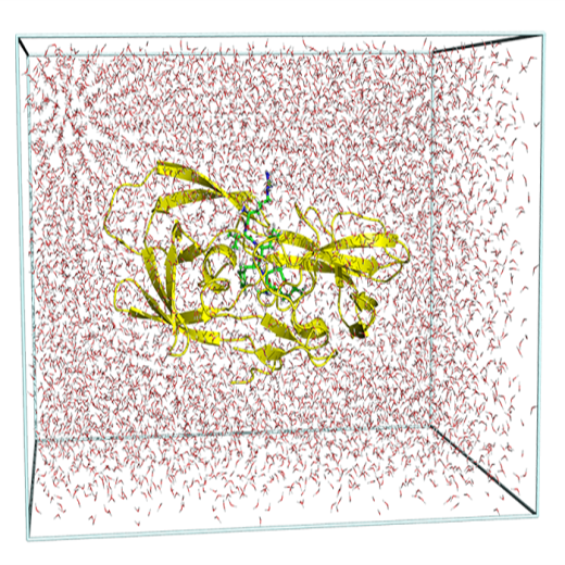 【计算机辅助药物设计】分子动力学模拟